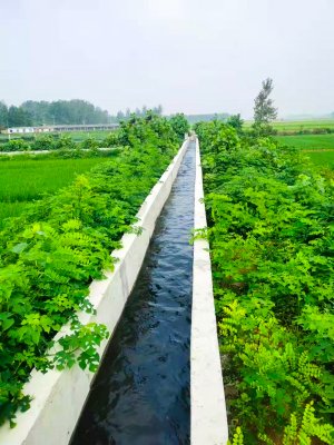 河南淮濱高標(biāo)準(zhǔn)農(nóng)田建設(shè)項(xiàng)目